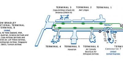 التراخي خريطة terminal b